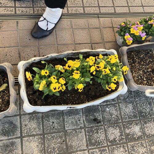 ブログ記事のイメージ画像