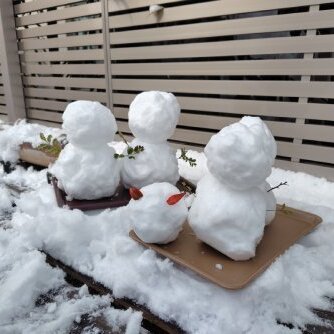 ブログ記事のイメージ画像