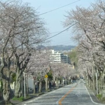 ブログ記事のイメージ画像